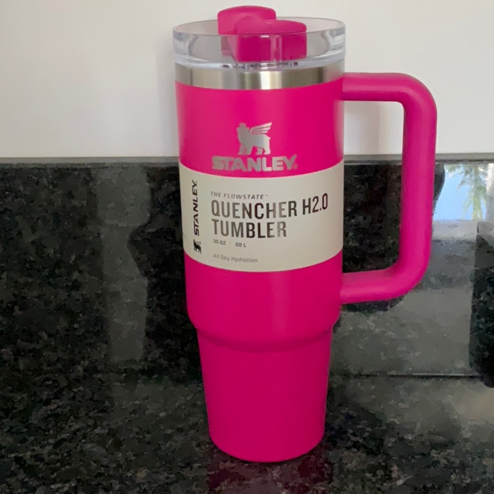Stanley Pink Quencher H2.0 Tumbler 30oz 30 oz Camelia hot big th